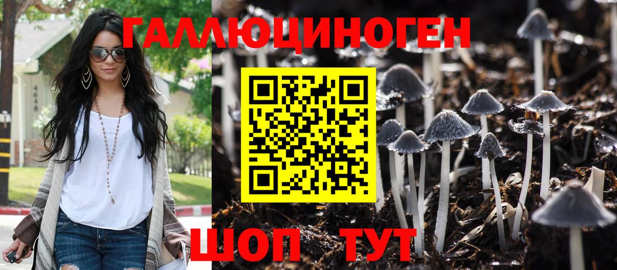 Кыштым  Псилоцибиновые грибы GOLDEN TEACHER  Вход с VPN  Псилоцибиновые грибы MAGIC MUSHROOMS 